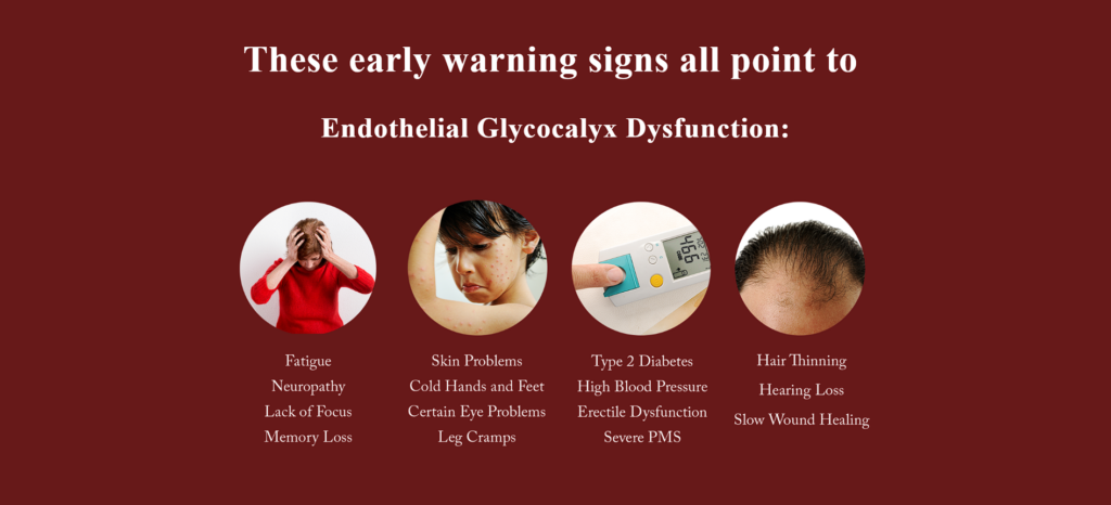endothelial-glycocalyx-dysfunction