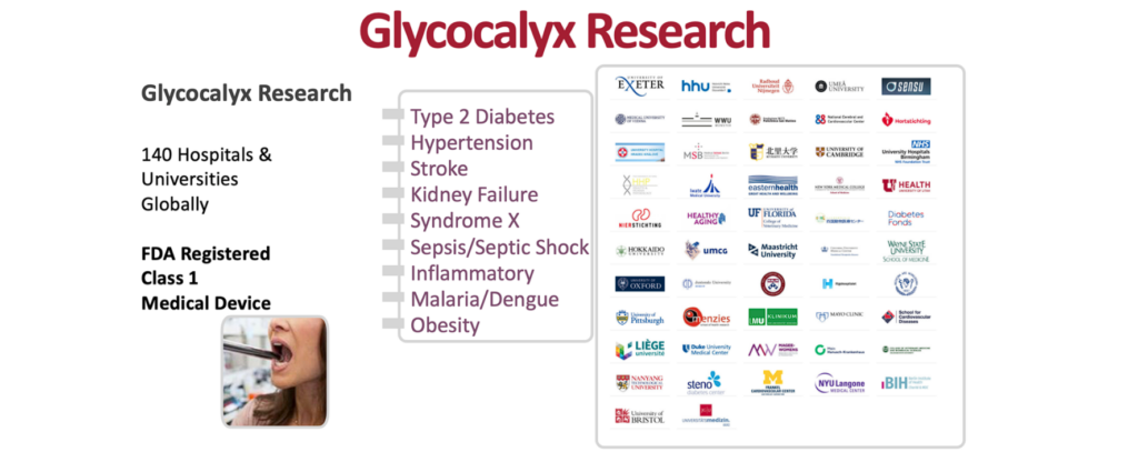 Glycocalyx-Research