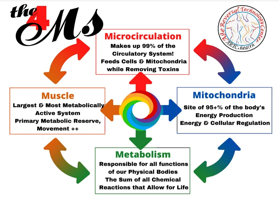 Regenerative Medicine Sarasota FL 4MS