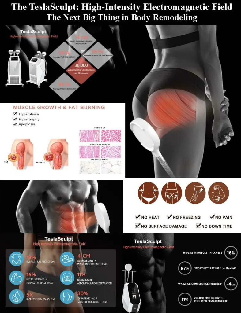 Regenerative-Medicine-Sarasota-FL-Teslasculpt-Infographic.webp