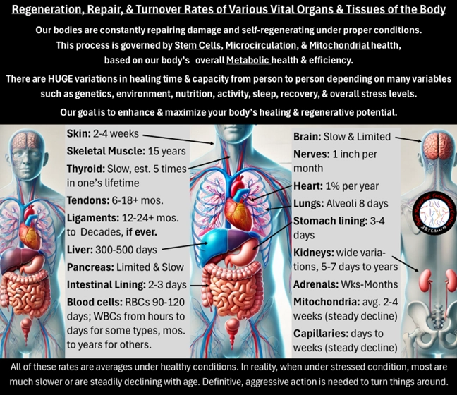 Regenerative Medicine Sarasota FL Organ Restoration