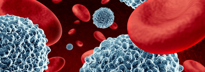 Microvascular-Health-Red-And-White-Blood-Cells