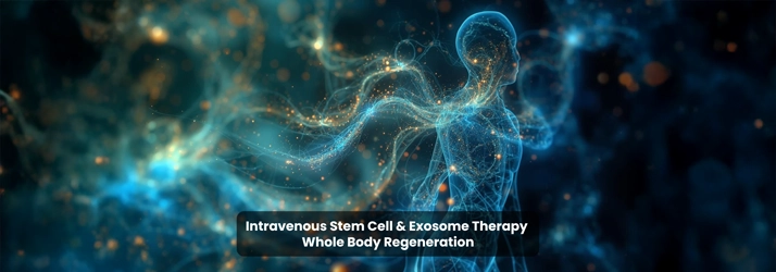 Intravenous Stem Cell & Exosome Therapy – Whole Body Regeneration In Sarasota FL